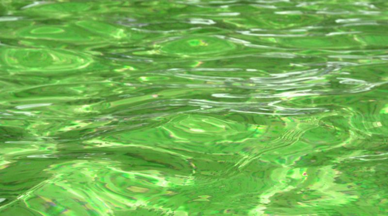 Como solucionar agua verde piscina