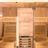 Inerior Sauna tradicional de vapor piedra Poolstar